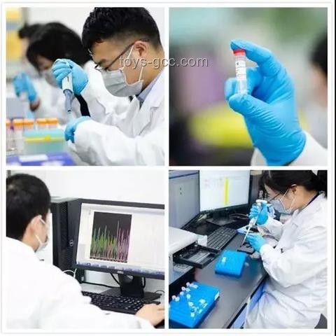全合成技术革新：探索其在医药行业中的深远意义